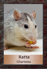 Ratte