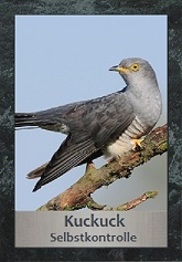 Kuckuck