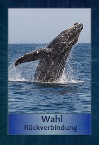 Wal