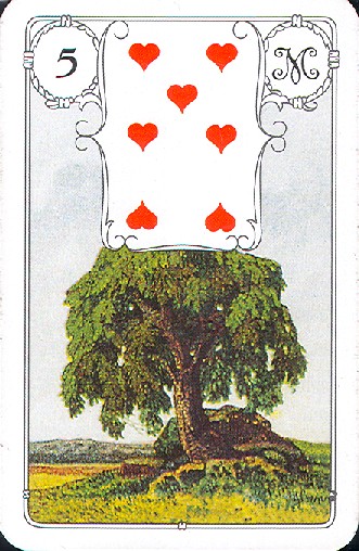 5 Baum